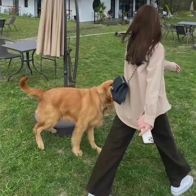 纸房子:全球热潮